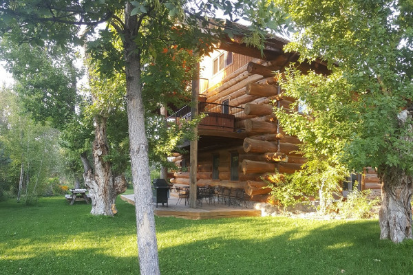 lucky dog lodge lucky dog lodge