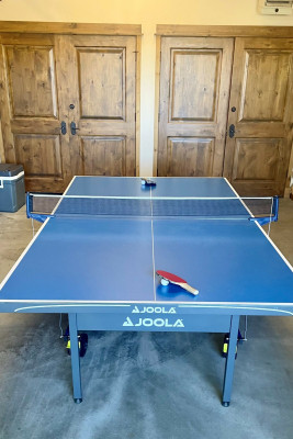Ping Pong Table