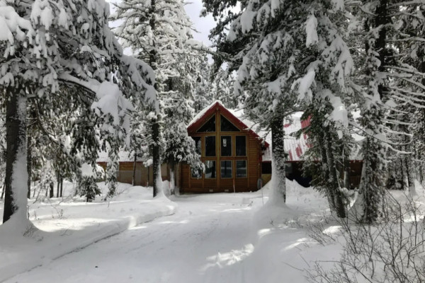 Winter Driveway