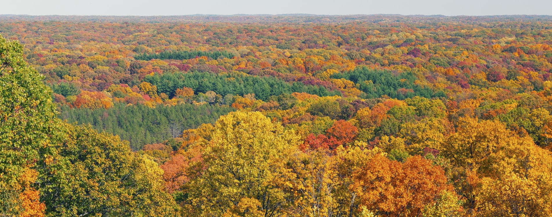 Aerial Autumn View of Brown County Indiana