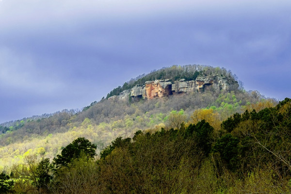 Nearby View